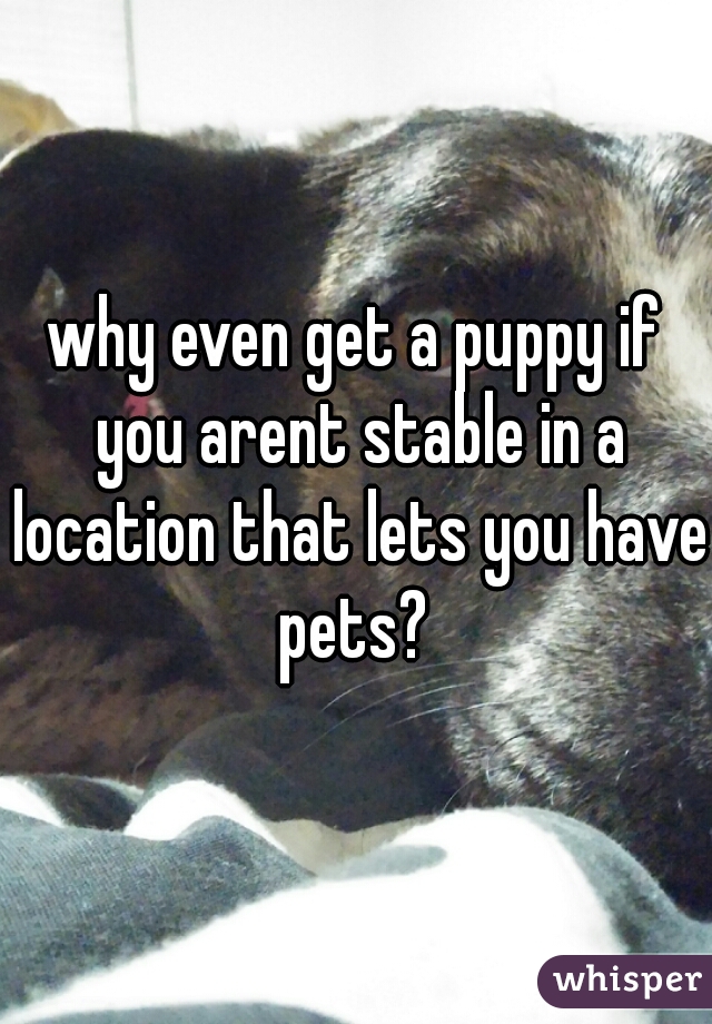 why even get a puppy if you arent stable in a location that lets you have pets? 