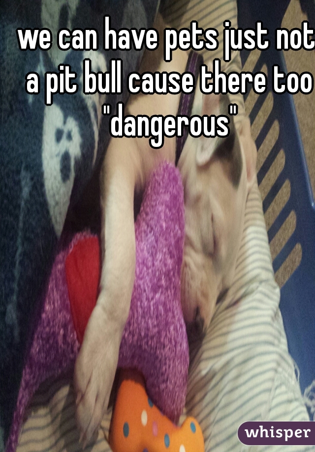 we can have pets just not a pit bull cause there too "dangerous"