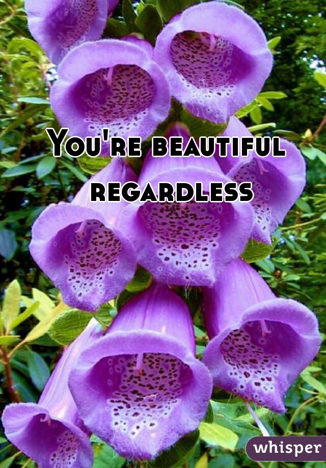You're beautiful regardless