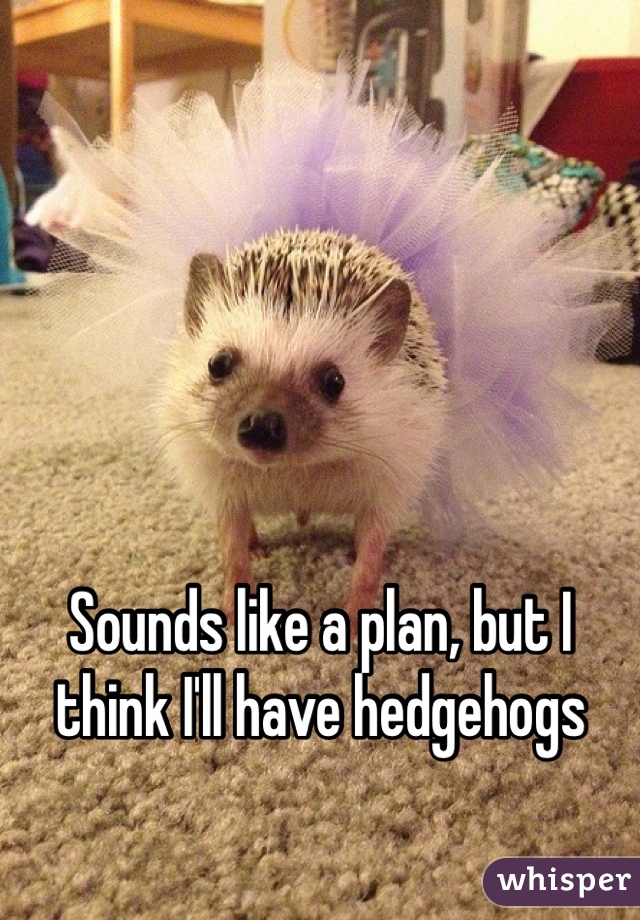 Sounds like a plan, but I think I'll have hedgehogs