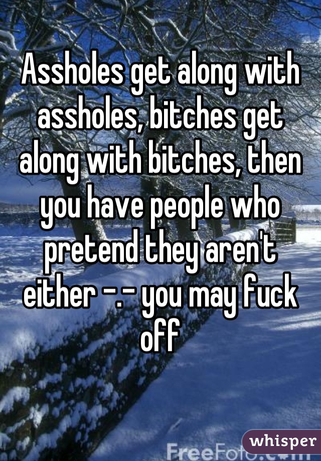 Assholes get along with assholes, bitches get along with bitches, then you have people who pretend they aren't either -.- you may fuck off