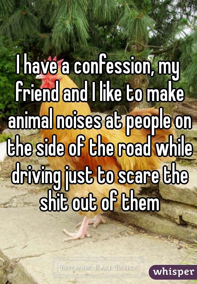 I have a confession, my friend and I like to make animal noises at people on the side of the road while driving just to scare the shit out of them