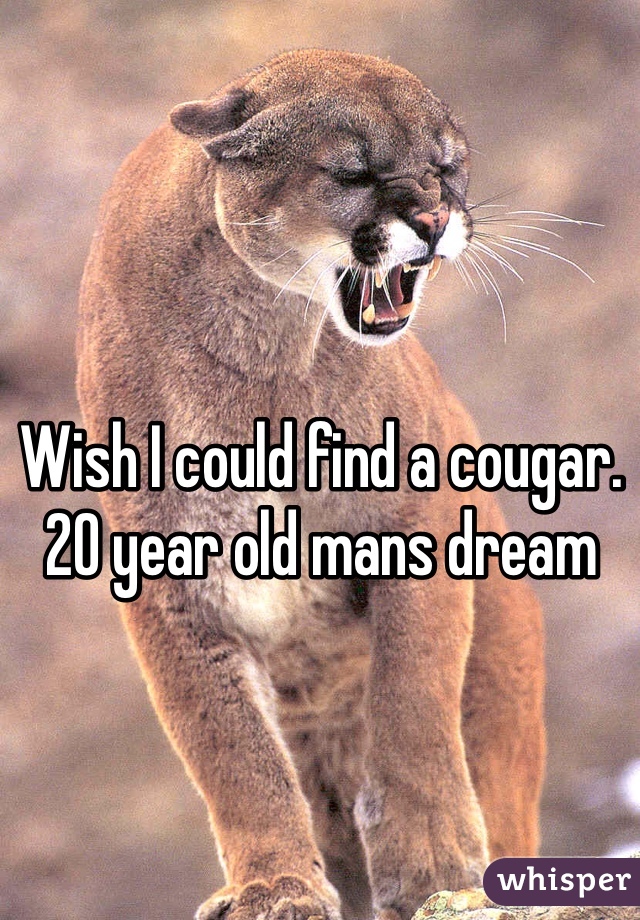 Wish I could find a cougar. 20 year old mans dream
