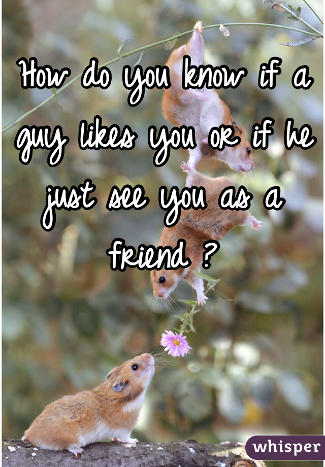 How do you know if a guy likes you or if he just see you as a friend ?