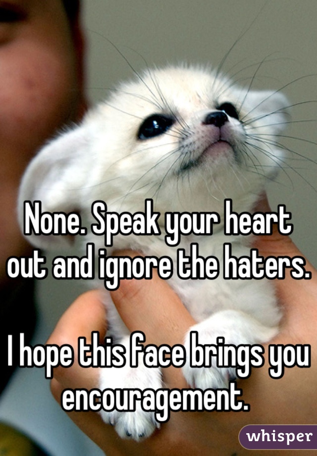 



None. Speak your heart out and ignore the haters. 

I hope this face brings you encouragement. 