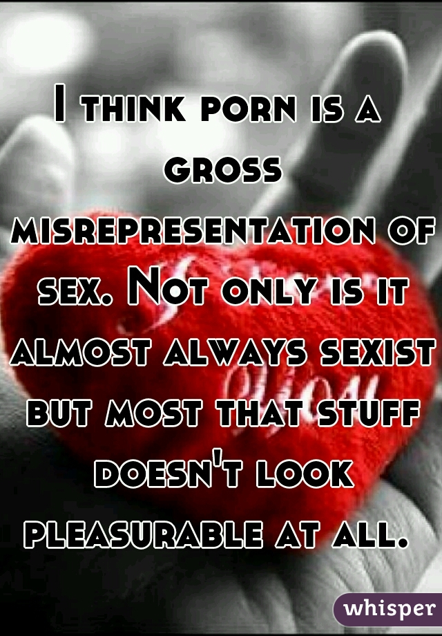 I think porn is a gross misrepresentation of sex. Not only is it almost always sexist but most that stuff doesn't look pleasurable at all. 