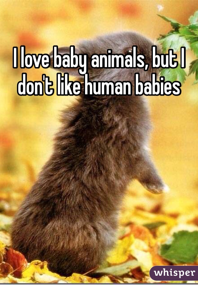 I love baby animals, but I don't like human babies