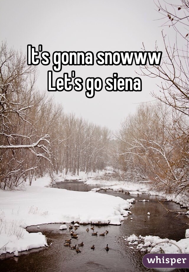It's gonna snowww
Let's go siena
