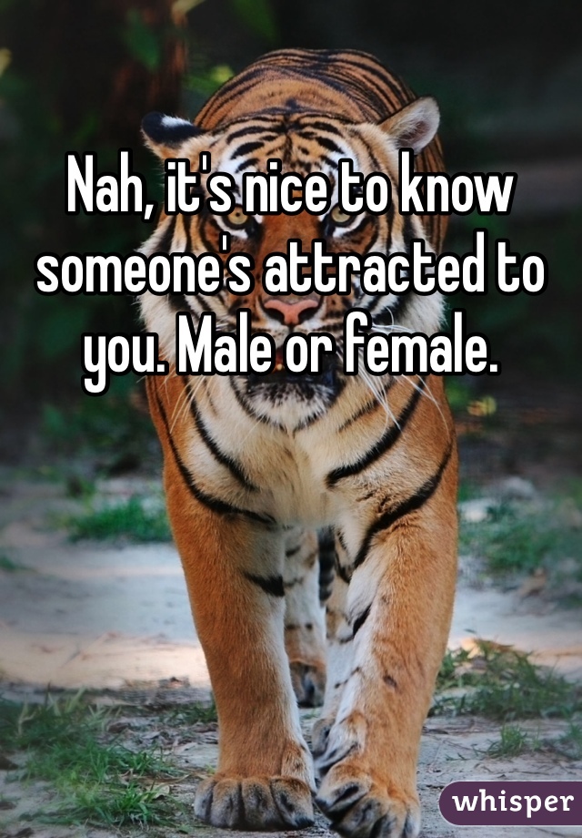 Nah, it's nice to know someone's attracted to you. Male or female.