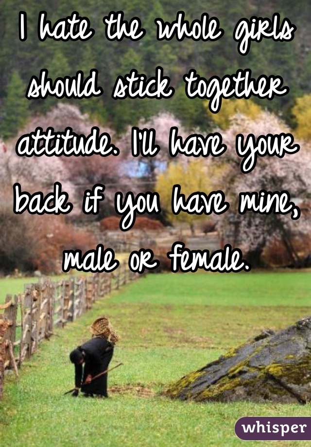 I hate the whole girls should stick together attitude. I'll have your back if you have mine, male or female. 