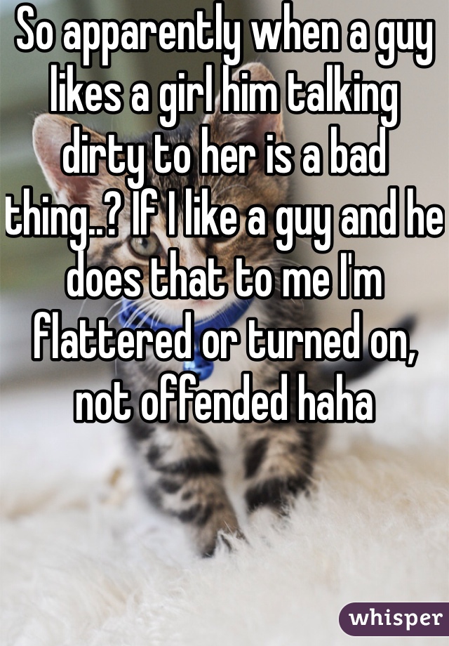 So apparently when a guy likes a girl him talking dirty to her is a bad thing..? If I like a guy and he does that to me I'm flattered or turned on, not offended haha 