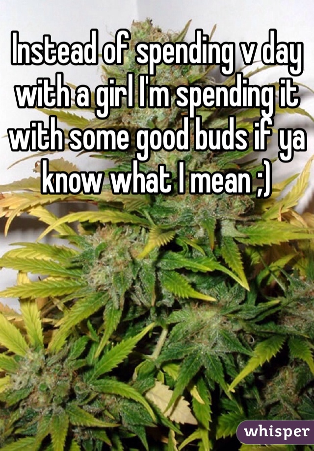 Instead of spending v day with a girl I'm spending it with some good buds if ya know what I mean ;)
