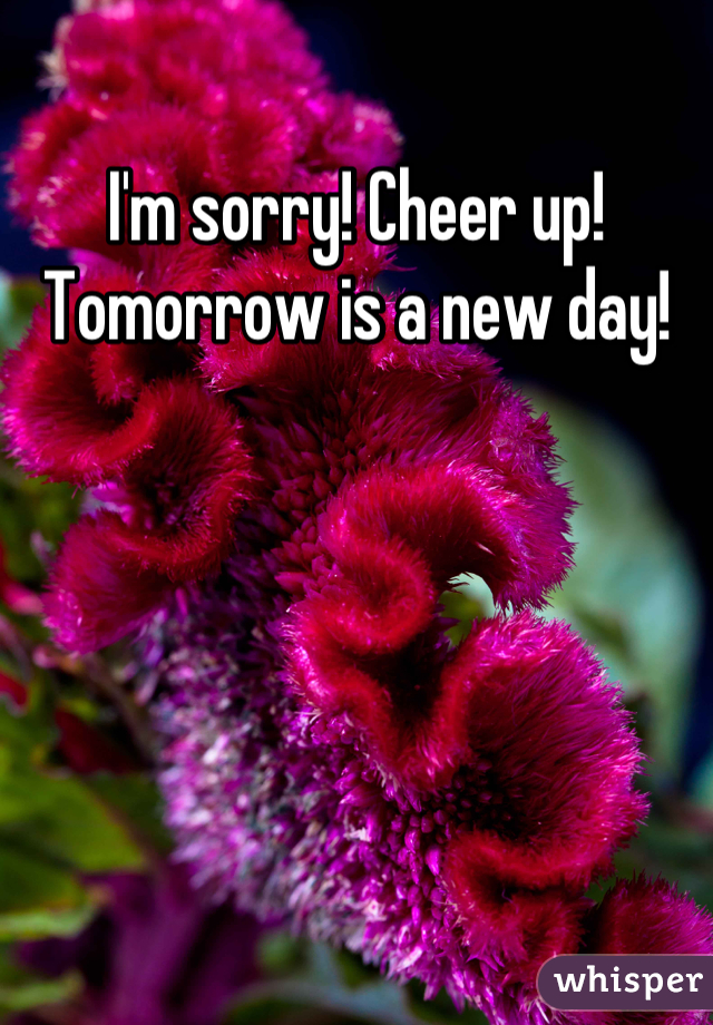 I'm sorry! Cheer up! Tomorrow is a new day!