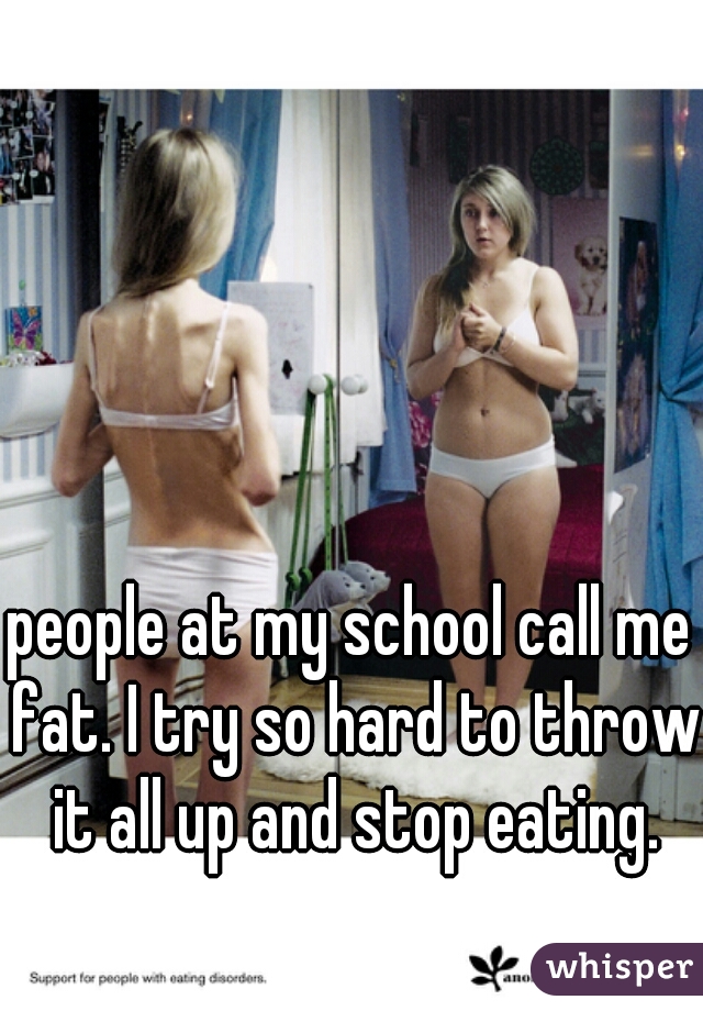 people at my school call me fat. I try so hard to throw it all up and stop eating.
