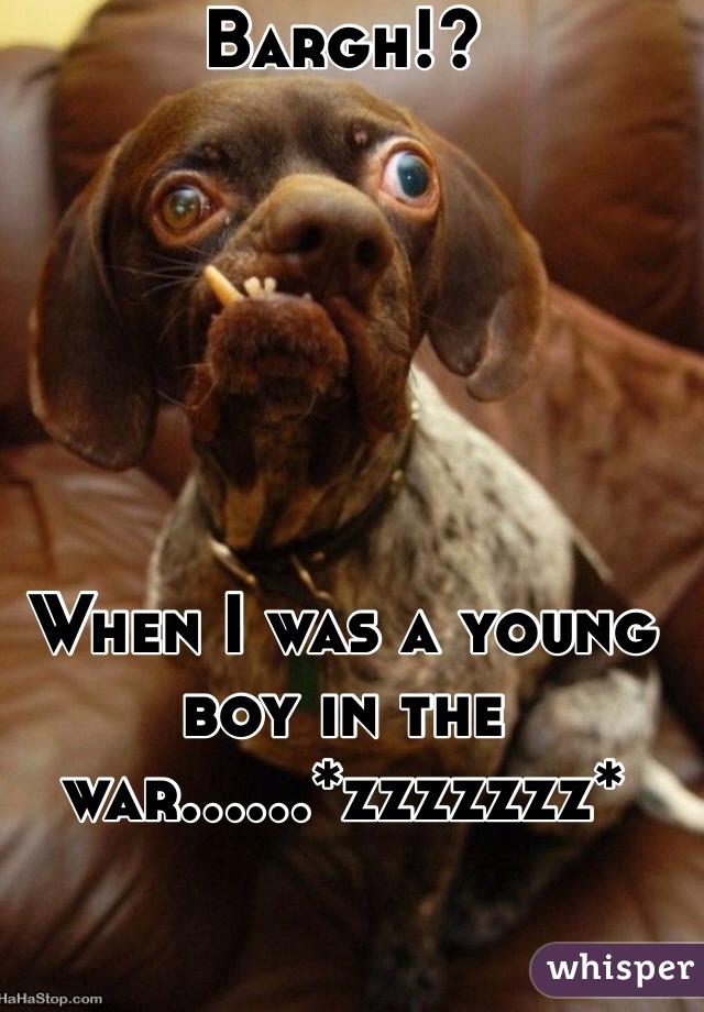 Bargh!?






When I was a young boy in the war......*zzzzzzz*