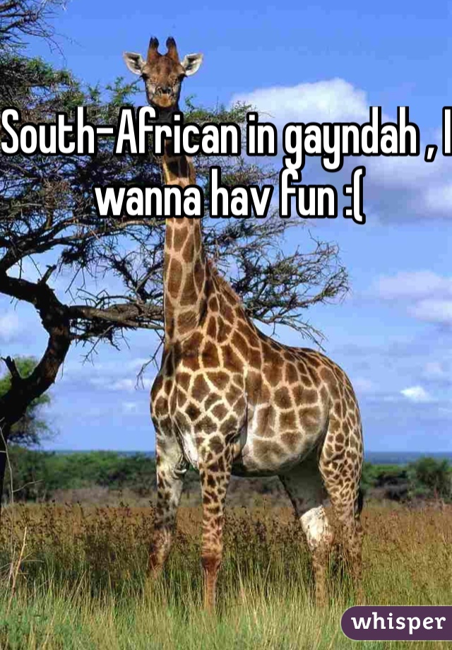 South-African in gayndah , I wanna hav fun :(