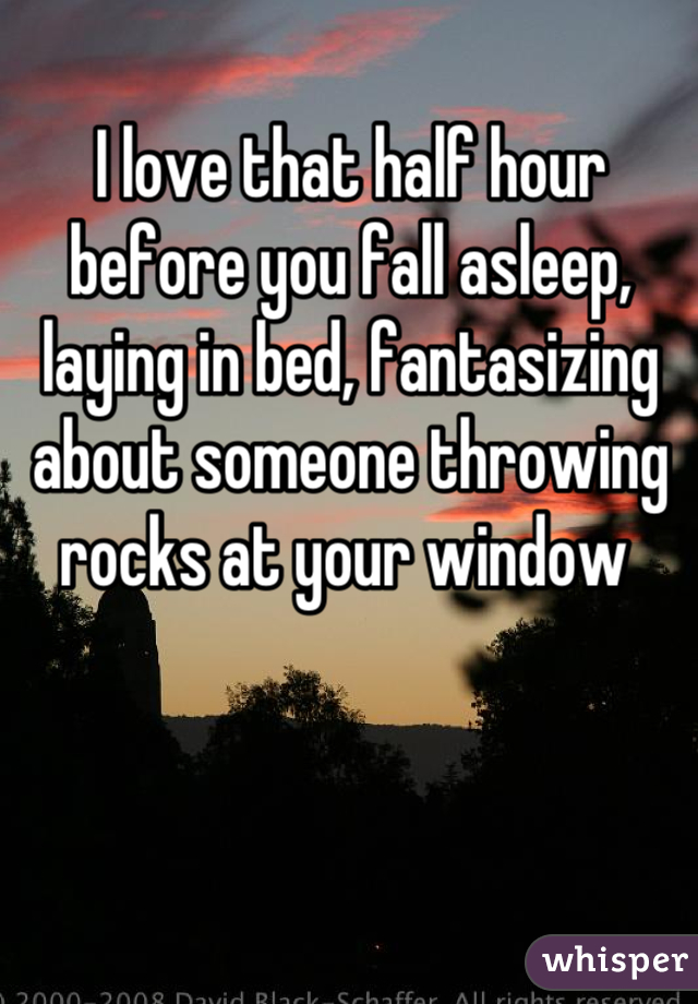 I love that half hour before you fall asleep, laying in bed, fantasizing about someone throwing rocks at your window 