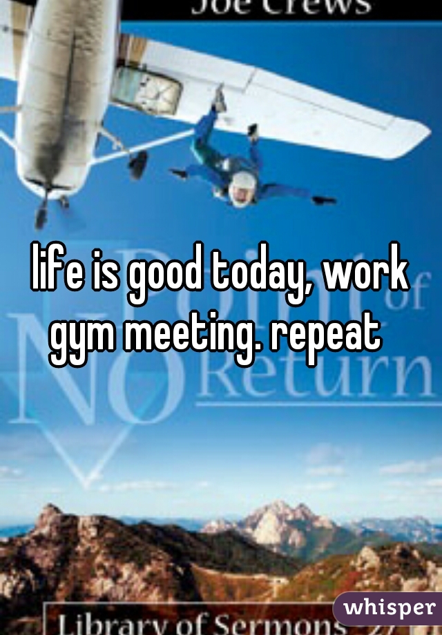 life is good today, work gym meeting. repeat  