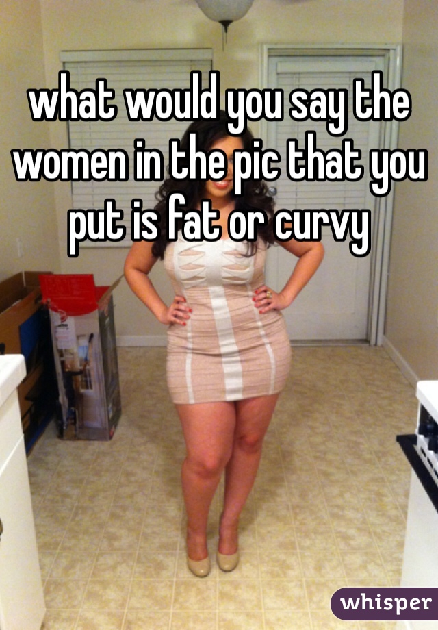 what would you say the women in the pic that you put is fat or curvy 