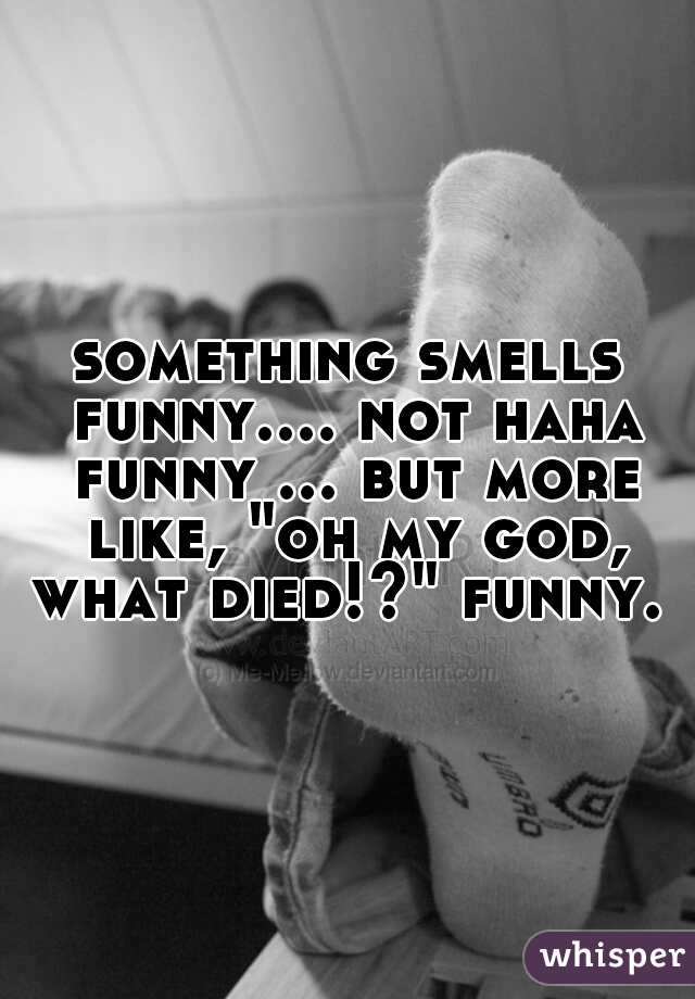 something smells funny.... not haha funny ... but more like, "oh my god, what died!?" funny. 