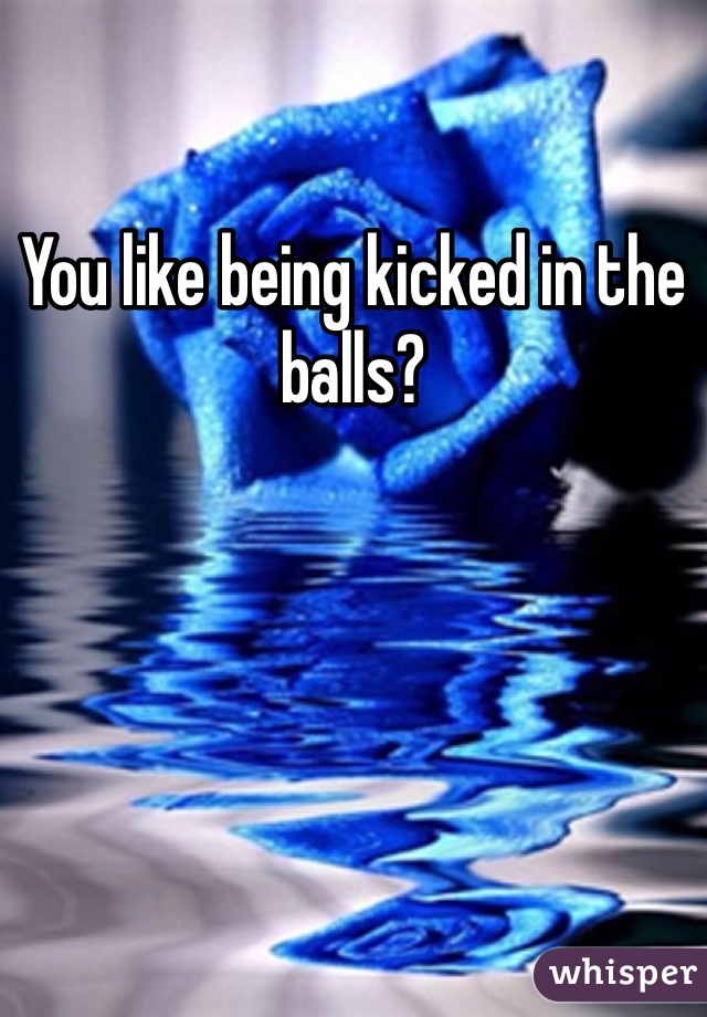 You like being kicked in the balls?