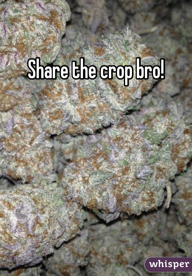 Share the crop bro!