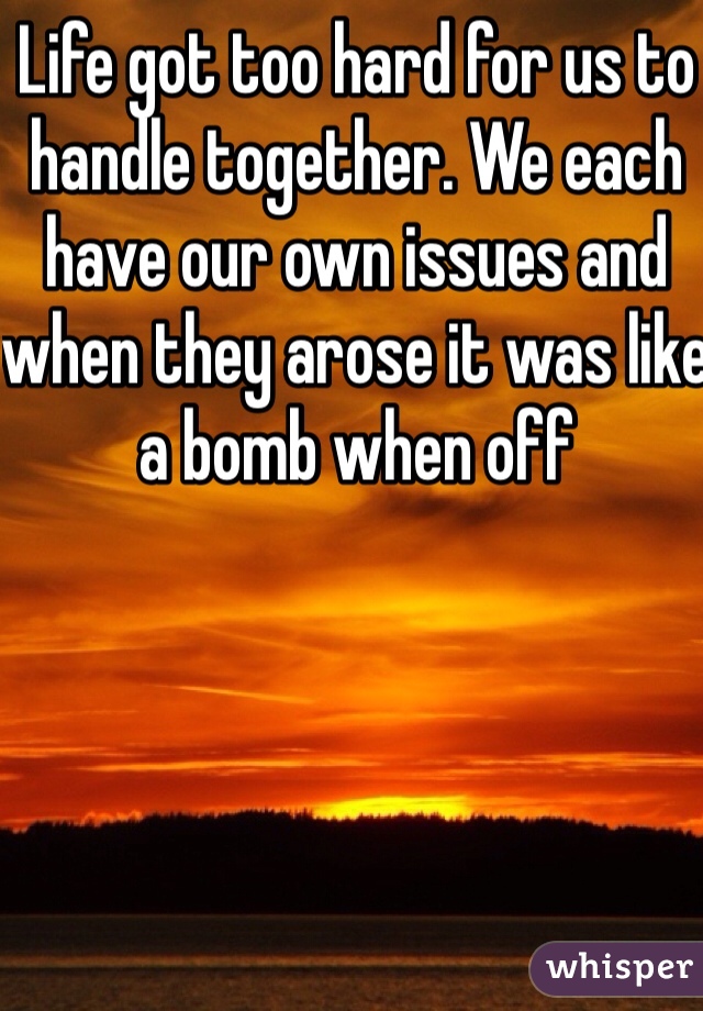 Life got too hard for us to handle together. We each have our own issues and when they arose it was like a bomb when off 