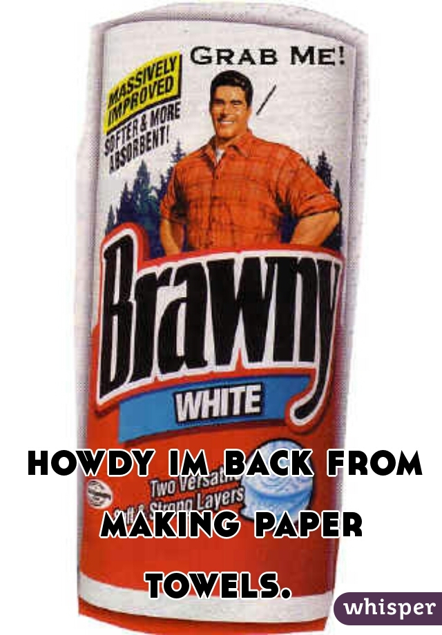 howdy im back from making paper towels.  