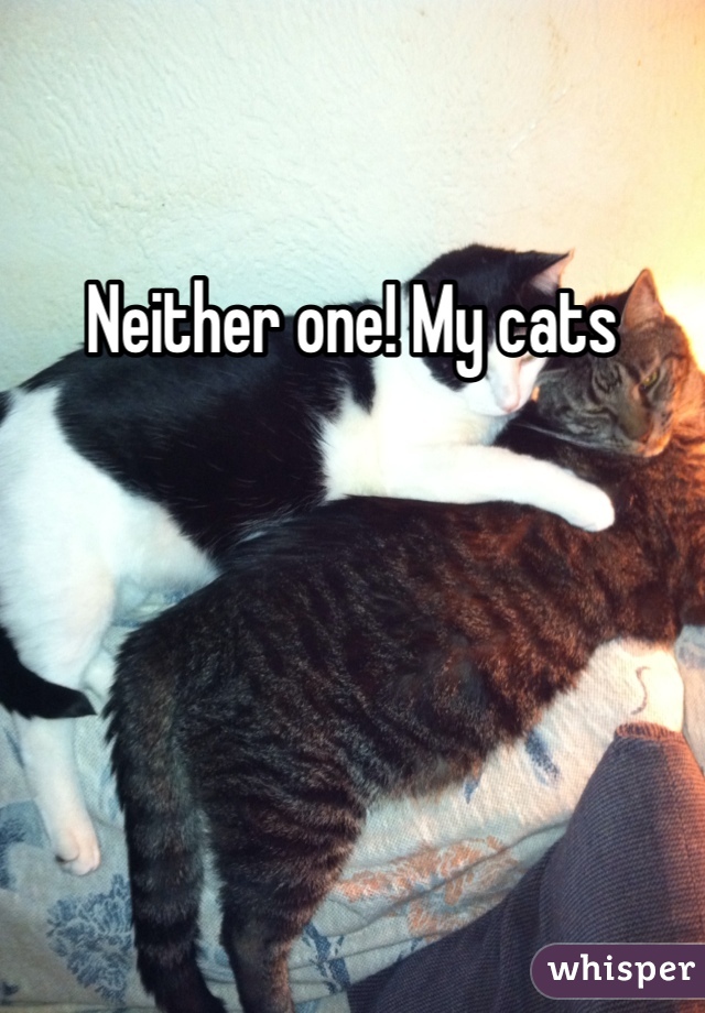 Neither one! My cats 