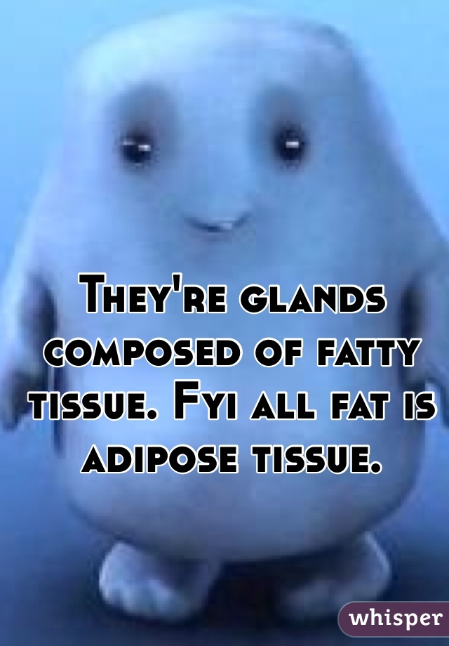 They're glands composed of fatty tissue. Fyi all fat is adipose tissue.