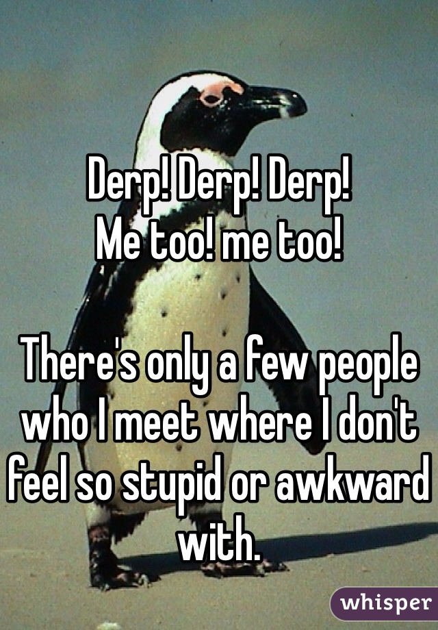 

Derp! Derp! Derp! 
Me too! me too!

There's only a few people who I meet where I don't feel so stupid or awkward with.  