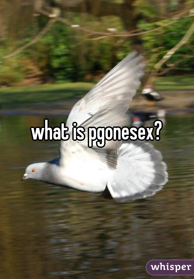 what is pgonesex?