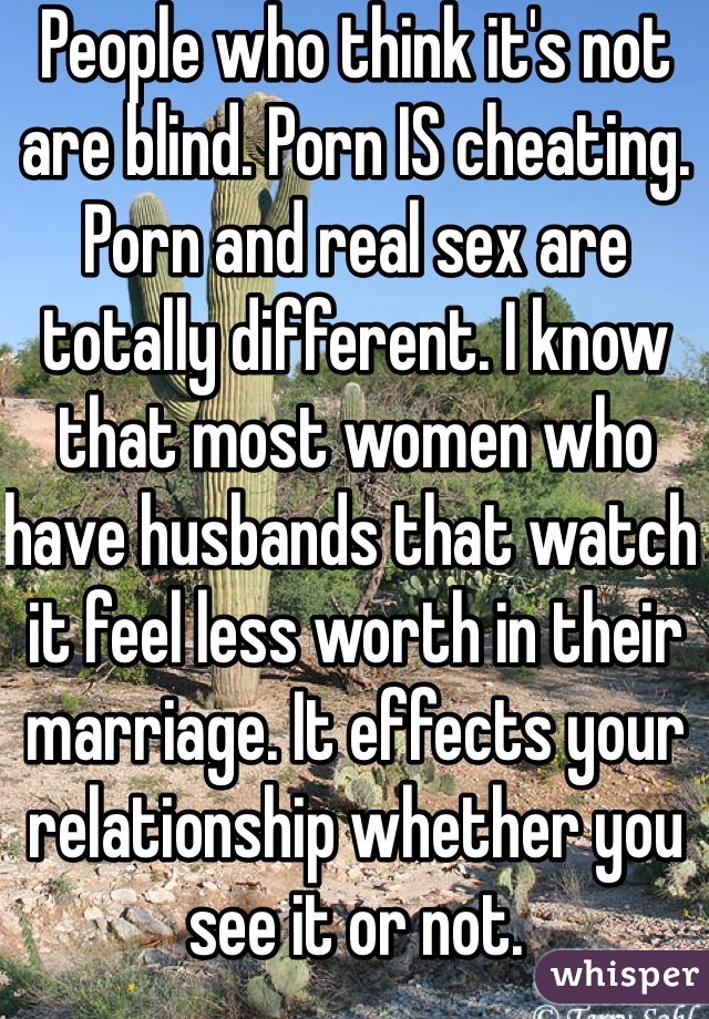 People who think it's not are blind. Porn IS cheating. Porn and real sex are totally different. I know that most women who have husbands that watch it feel less worth in their marriage. It effects your relationship whether you see it or not.