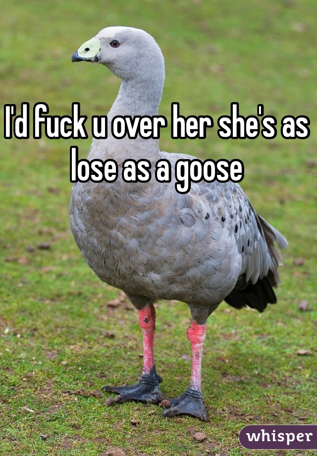 I'd fuck u over her she's as lose as a goose 