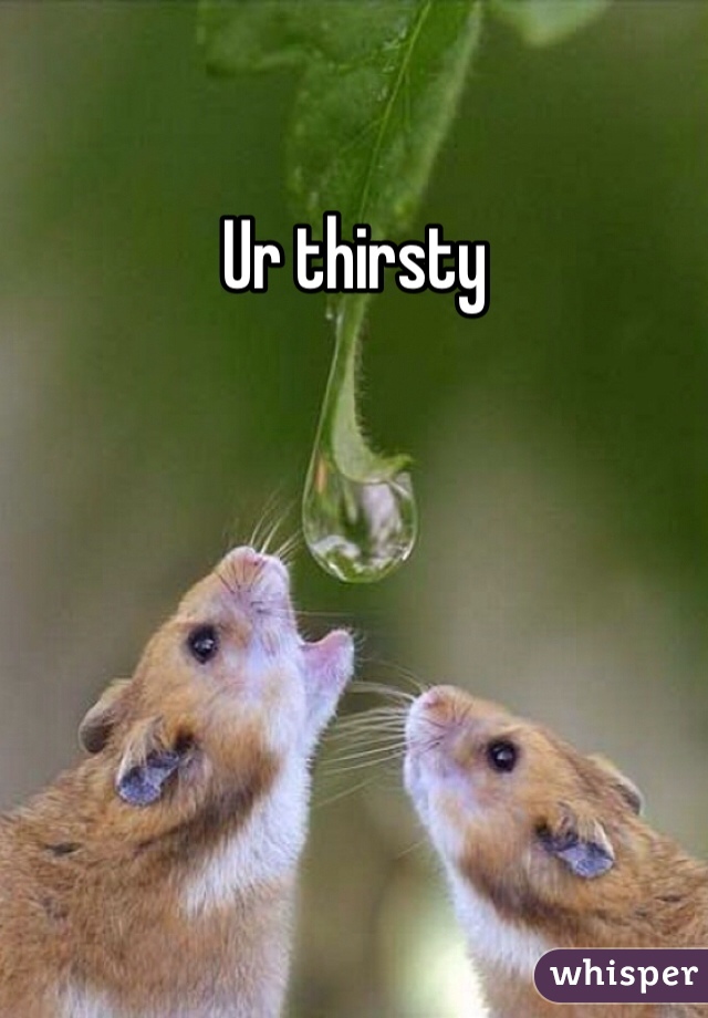 Ur thirsty