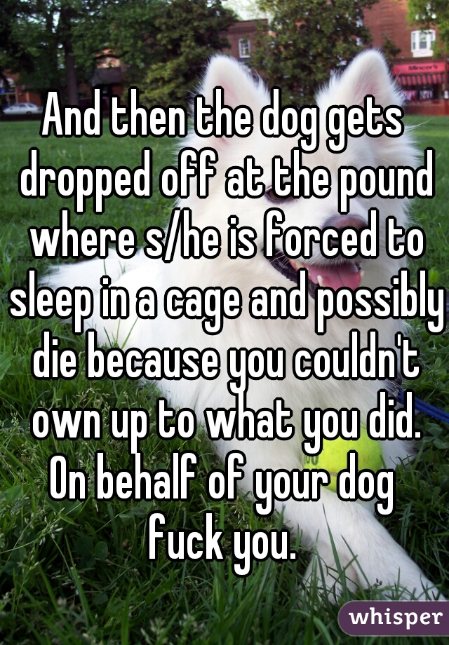 And then the dog gets dropped off at the pound where s/he is forced to sleep in a cage and possibly die because you couldn't own up to what you did.
On behalf of your dog
fuck you.