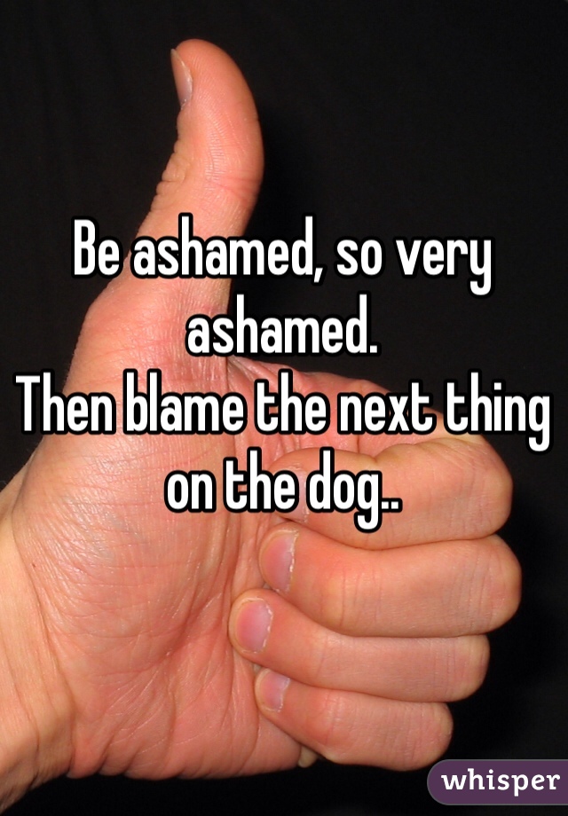 Be ashamed, so very ashamed. 
Then blame the next thing on the dog..