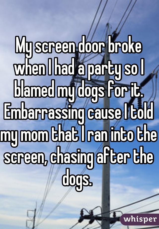 My screen door broke when I had a party so I blamed my dogs for it. Embarrassing cause I told my mom that I ran into the screen, chasing after the dogs. 