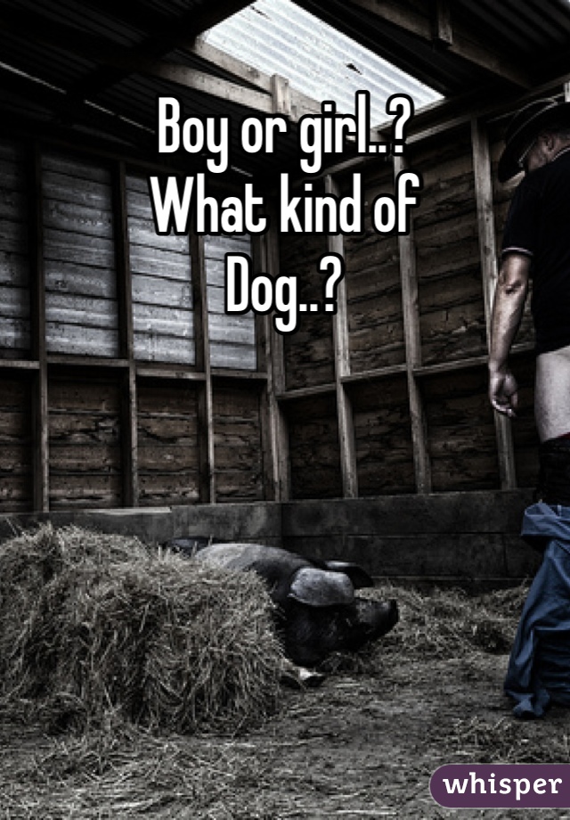 Boy or girl..?
What kind of
Dog..?