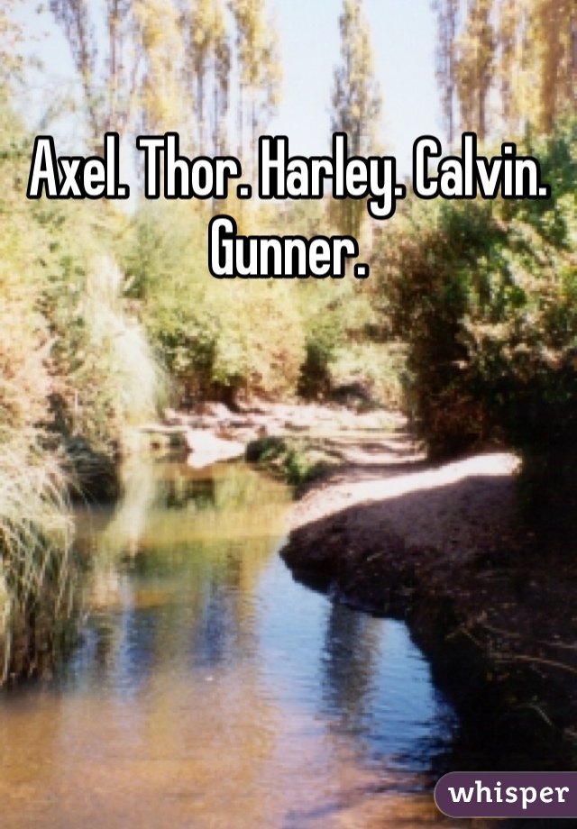 Axel. Thor. Harley. Calvin. Gunner. 