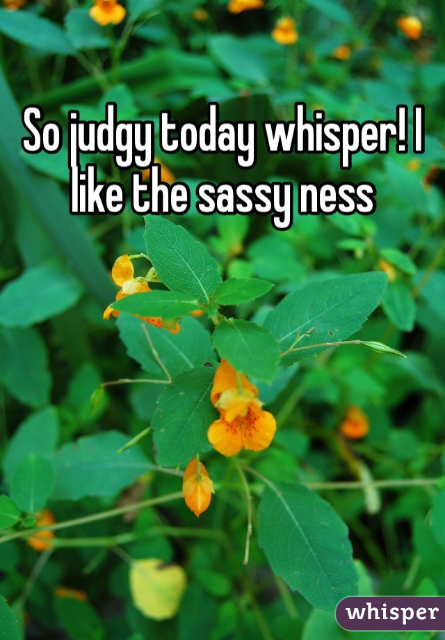 So judgy today whisper! I like the sassy ness 
