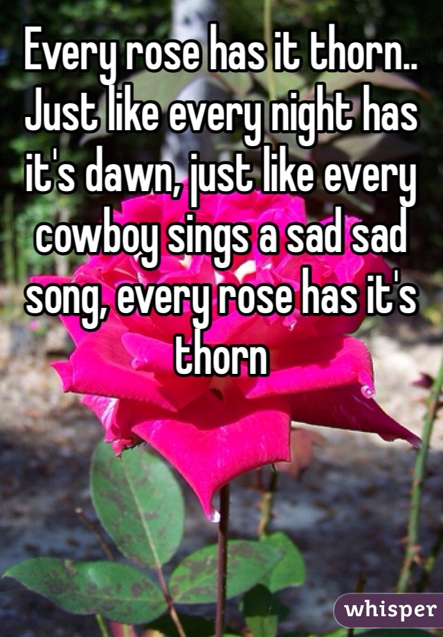 Every rose has it thorn.. Just like every night has it's dawn, just like every cowboy sings a sad sad song, every rose has it's thorn