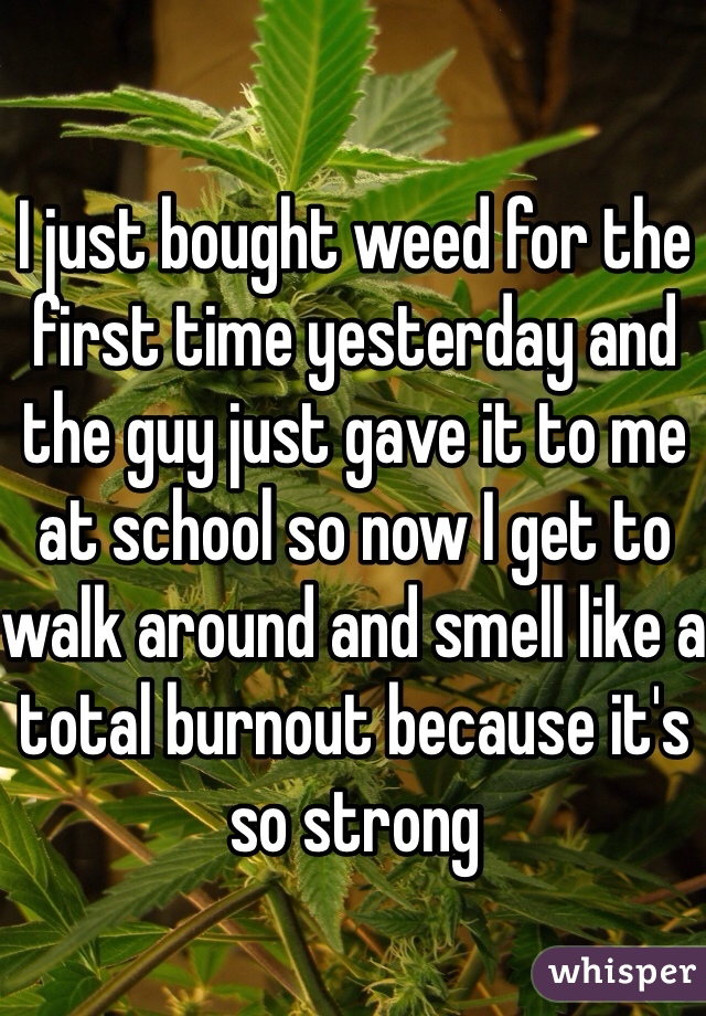 I just bought weed for the first time yesterday and the guy just gave it to me at school so now I get to walk around and smell like a total burnout because it's so strong