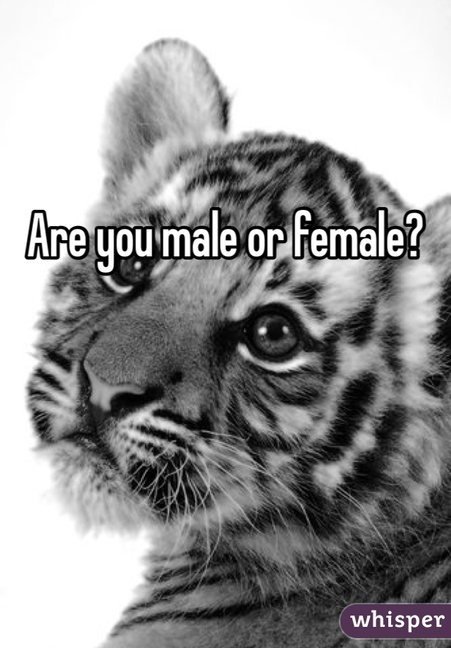 
Are you male or female?