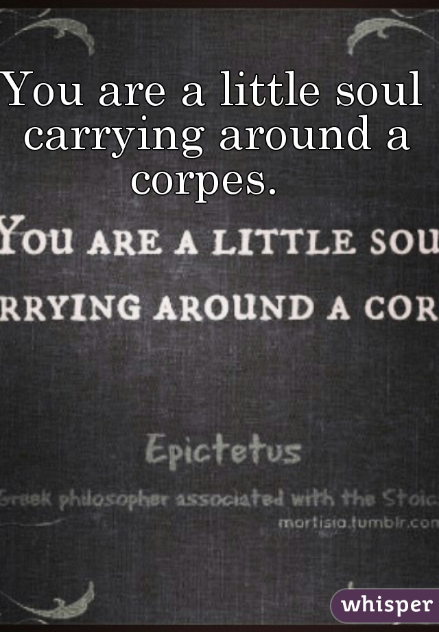 You are a little soul carrying around a corpes.  