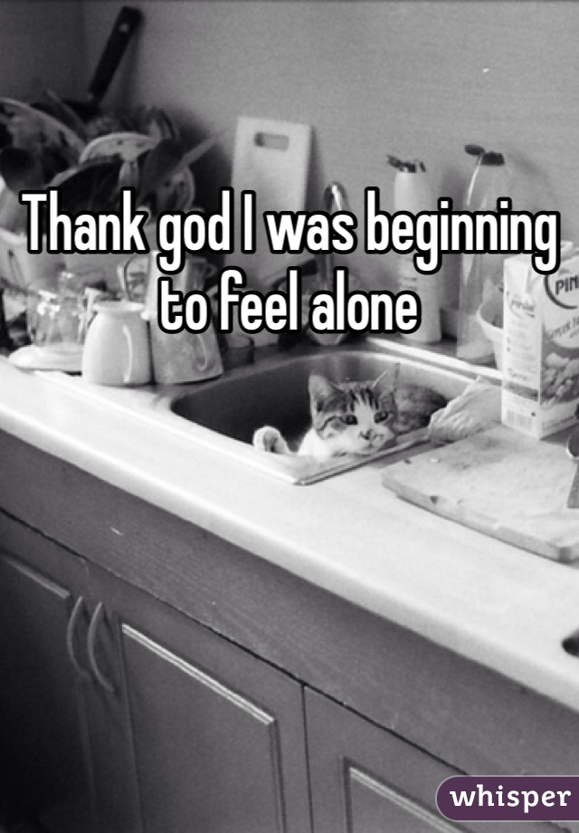 Thank god I was beginning to feel alone 