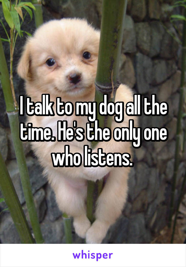 I talk to my dog all the time. He's the only one who listens. 