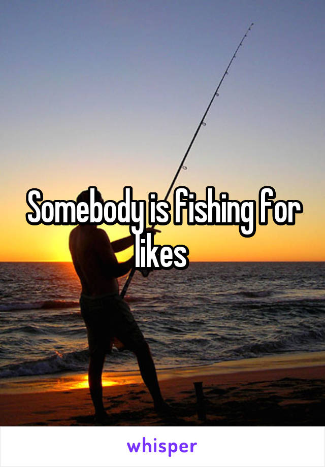 Somebody is fishing for likes 