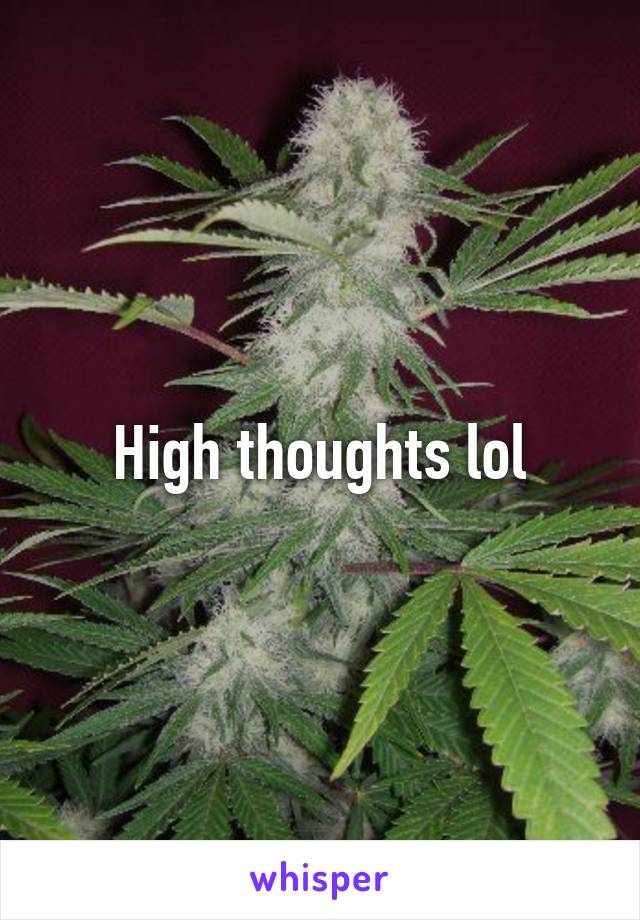 High thoughts lol