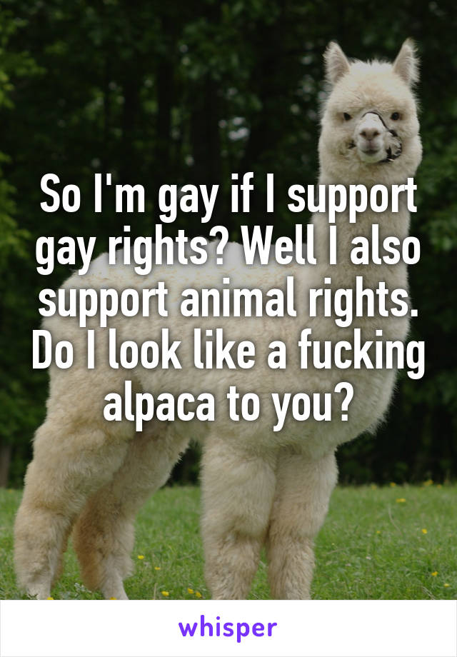 So I'm gay if I support gay rights? Well I also support animal rights. Do I look like a fucking alpaca to you?
